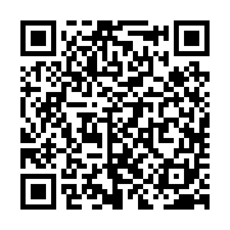 QR code for PIR251