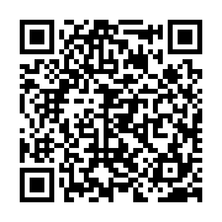 QR code for PIR334