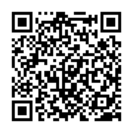 QR code for PIR338