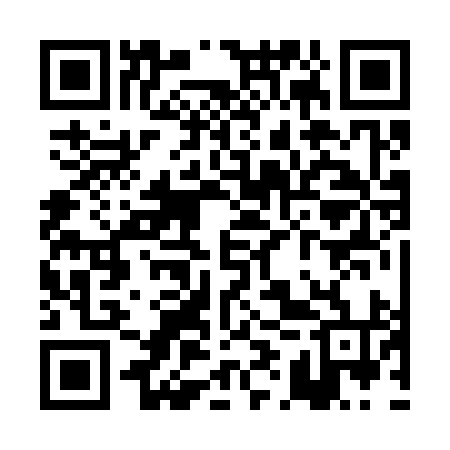QR code for PIR394