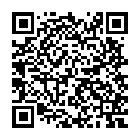 QR code for PIR501
