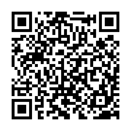 QR code for PIR594