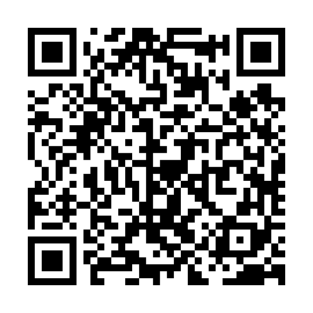QR code for PIR668