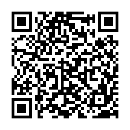 QR code for PIS216