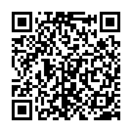 QR code for PIS371