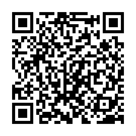 QR code for PIS379