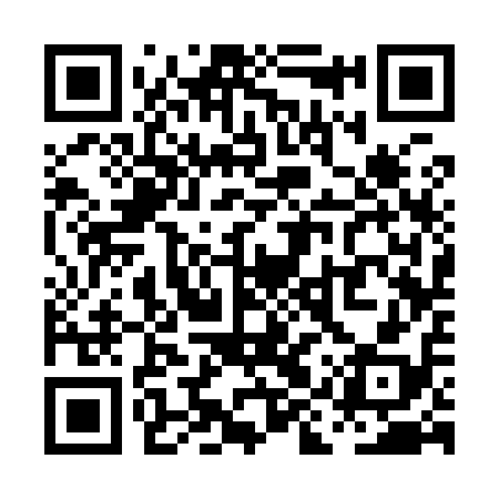 QR code for PIS918