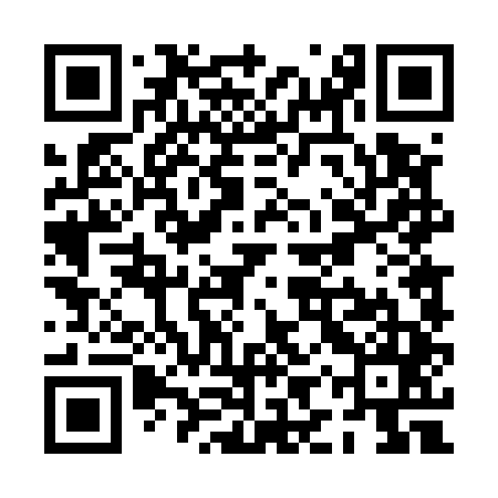 QR code for PIT545