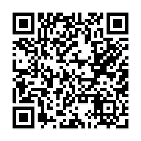 QR code for PIU381