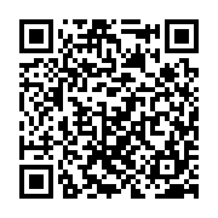 QR code for PIU394