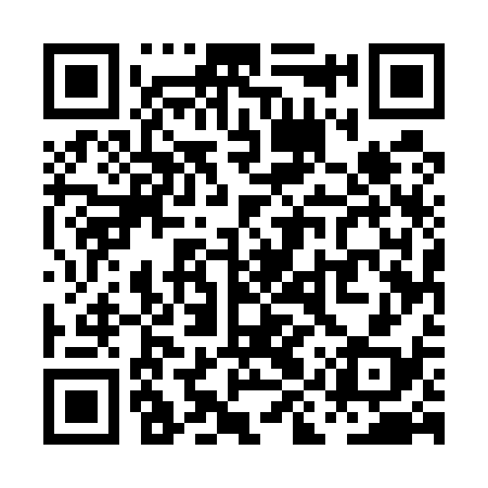 QR code for PIU538