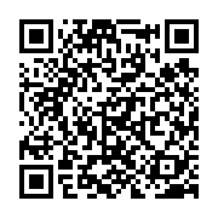 QR code for PIU629