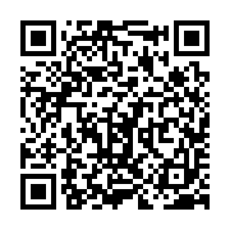 QR code for PIV393