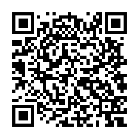 QR code for PIV533
