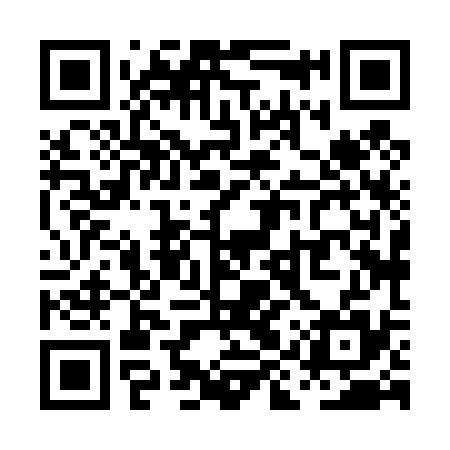 QR code for PIX435