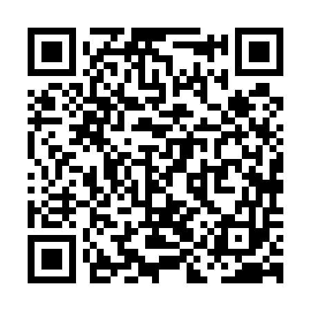 QR code for PIX553