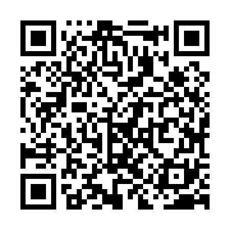 QR code for PIZ171