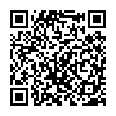 QR code for PIZ291