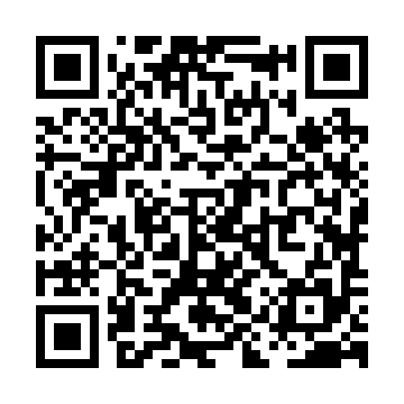 QR code for PIZ295