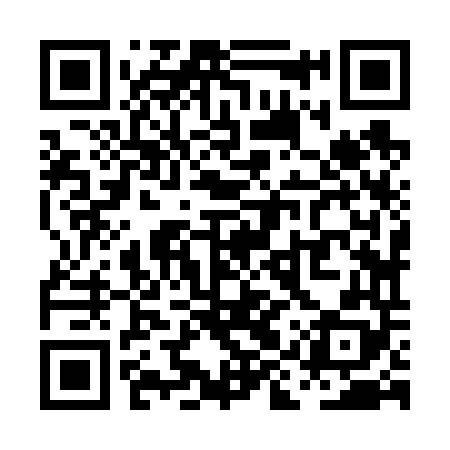 QR code for PIZ648
