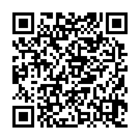 QR code for PJA334