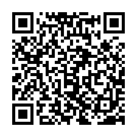 QR code for PJD993