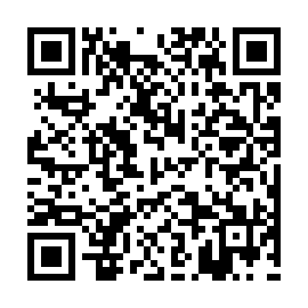 QR code for PJG391