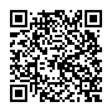 QR code for PJG616