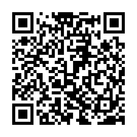 QR code for PJI333