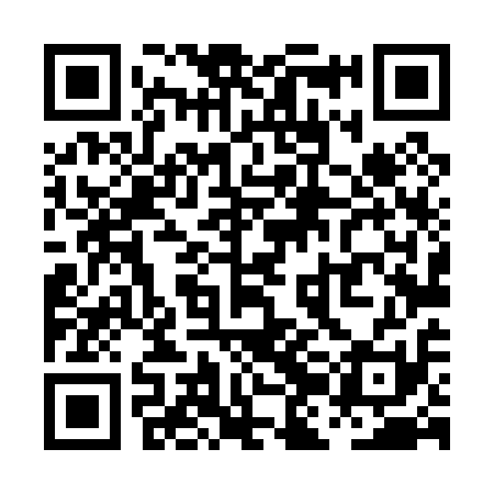 QR code for PJL011
