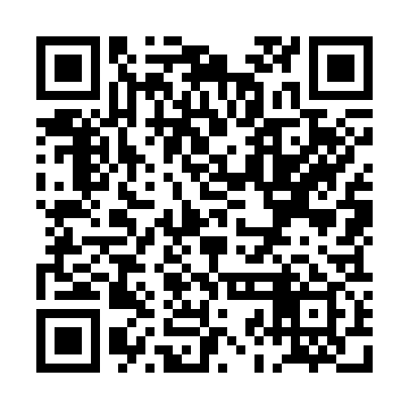 QR code for PJO339