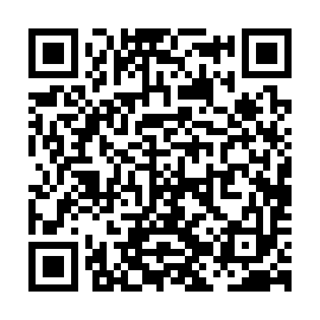 QR code for PJP393