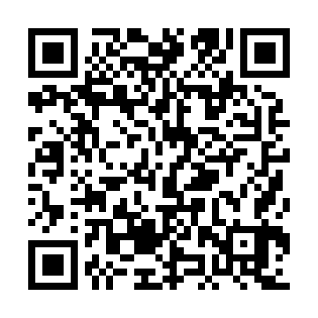 QR code for PJP863