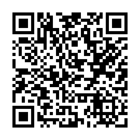 QR code for PJT919