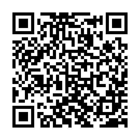 QR code for PJV382
