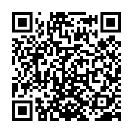 QR code for PJV428
