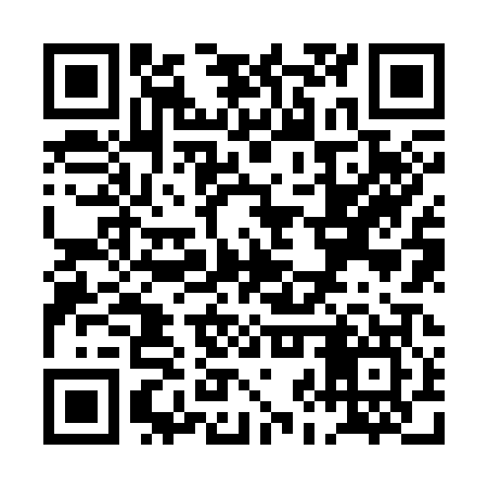 QR code for PJZ307