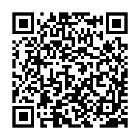 QR code for PKB393