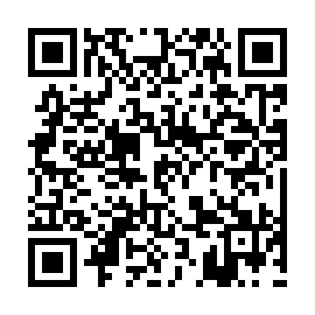 QR code for PKB991