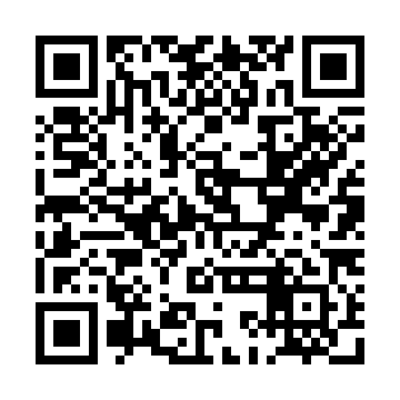 QR code for PKF381