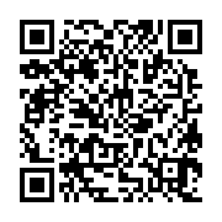 QR code for PKG380