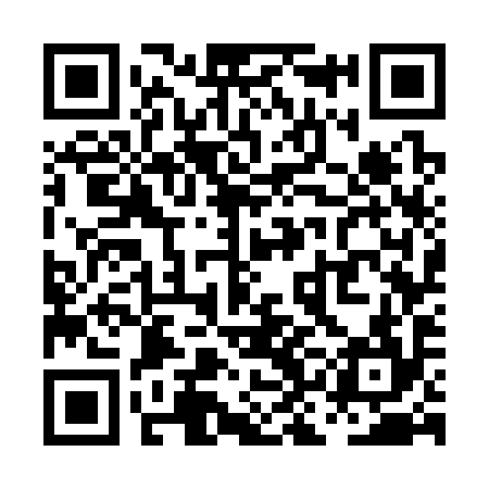 QR code for PKG394
