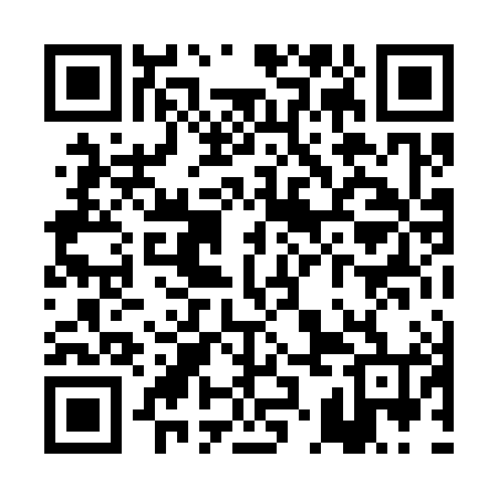 QR code for PKL384