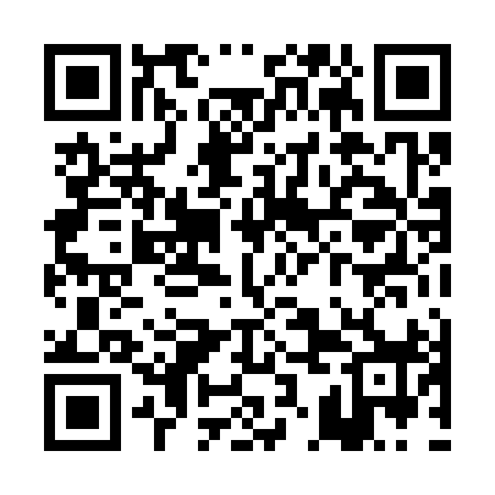 QR code for PKL398