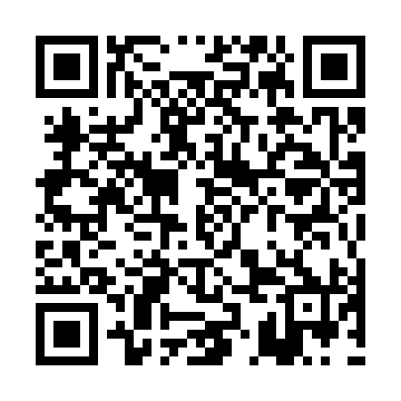 QR code for PKM390