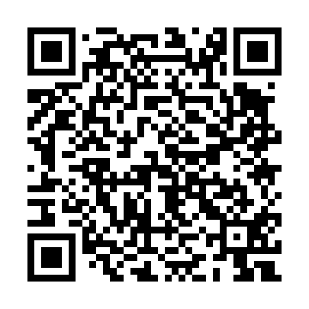 QR code for PKQ411