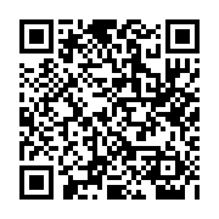 QR code for PKR291