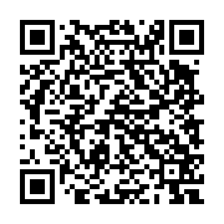 QR code for PKT463