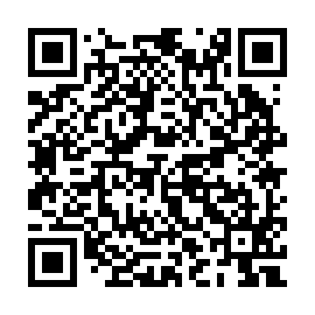 QR code for PLA295
