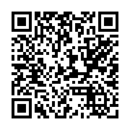 QR code for PLG295